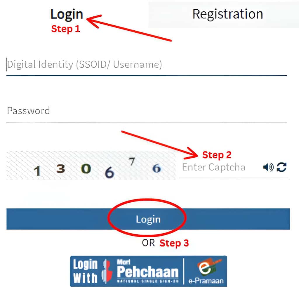 SSO Portal Login